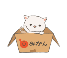 Cat in Cardboard sticker #8557154