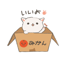 Cat in Cardboard sticker #8557155