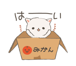 Cat in Cardboard sticker #8557156