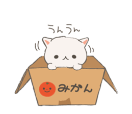 Cat in Cardboard sticker #8557158