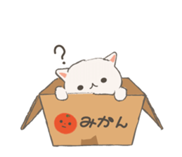 Cat in Cardboard sticker #8557160