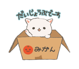 Cat in Cardboard sticker #8557162