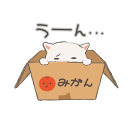 Cat in Cardboard sticker #8557164