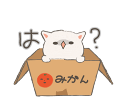 Cat in Cardboard sticker #8557165