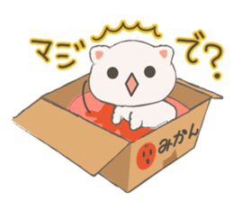 Cat in Cardboard sticker #8557169