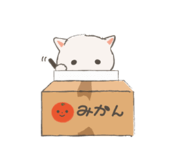 Cat in Cardboard sticker #8557170