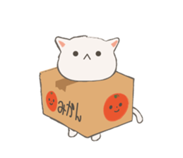 Cat in Cardboard sticker #8557175