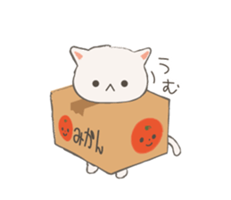 Cat in Cardboard sticker #8557176