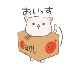 Cat in Cardboard sticker #8557177