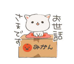 Cat in Cardboard sticker #8557178