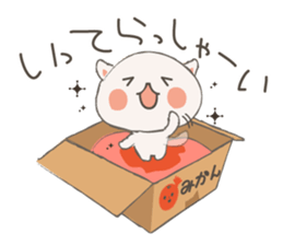 Cat in Cardboard sticker #8557189