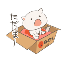 Cat in Cardboard sticker #8557190