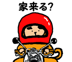 Shiba inu MOMO chan the third as well! 8 sticker #8558138