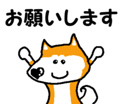 Shiba inu MOMO chan the third as well! 8 sticker #8558139