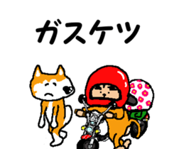 Shiba inu MOMO chan the third as well! 8 sticker #8558146