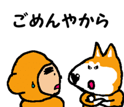 Shiba inu MOMO chan the third as well! 8 sticker #8558149