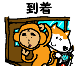 Shiba inu MOMO chan the third as well! 8 sticker #8558163