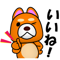 Slightly cool Japanese Dog Shiba BUNTA