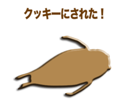 I'm Elephant seal & Seal. sticker #8559532