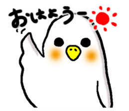 shiroikotori sticker #8560410