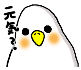 shiroikotori sticker #8560421