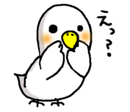 shiroikotori sticker #8560434