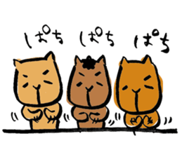 capybara chan us sticker #8562464