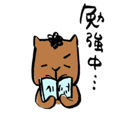 capybara chan us sticker #8562478