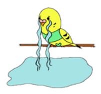 sticker of the small bird. sticker #8566165