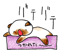 shamuneko no tama part3 sticker #8567404