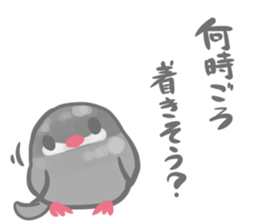 Couple of a java sparrow sticker #8567842