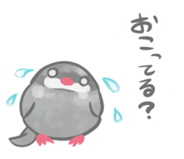 Couple of a java sparrow sticker #8567848