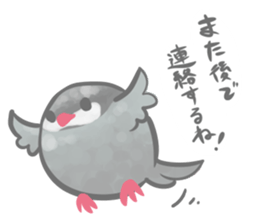 Couple of a java sparrow sticker #8567855