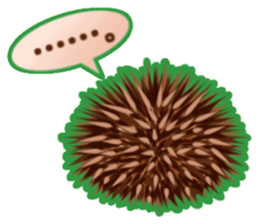 hedgehog!hedgehog!(Revise) sticker #8568660