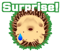 hedgehog!hedgehog!(Revise) sticker #8568662