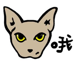 Ray Cat sticker #8570849