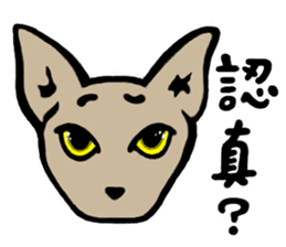 Ray Cat sticker #8570853