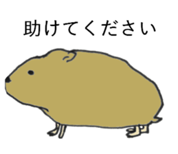 fuwafuwa zoo sticker #8571248