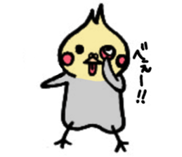 The cockatiel named Konastu sticker #8571394