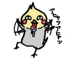 The cockatiel named Konastu sticker #8571401
