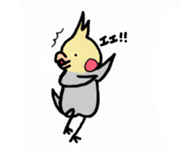The cockatiel named Konastu sticker #8571403