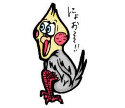 The cockatiel named Konastu sticker #8571404