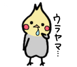 The cockatiel named Konastu sticker #8571405