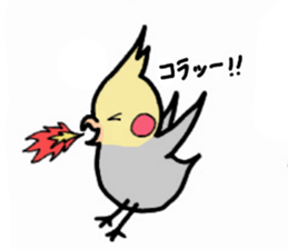 The cockatiel named Konastu sticker #8571407
