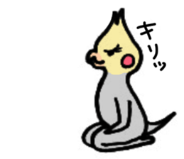 The cockatiel named Konastu sticker #8571411