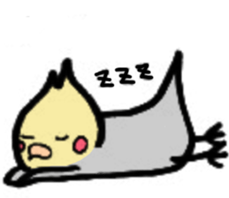 The cockatiel named Konastu sticker #8571414