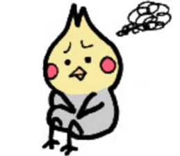 The cockatiel named Konastu sticker #8571416