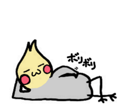 The cockatiel named Konastu sticker #8571417
