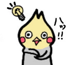The cockatiel named Konastu sticker #8571419