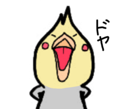 The cockatiel named Konastu sticker #8571423